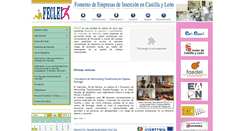 Desktop Screenshot of feclei.org